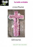 /album/galerie-de-photos-deuil/la-belle-orchidee-15-jpg/